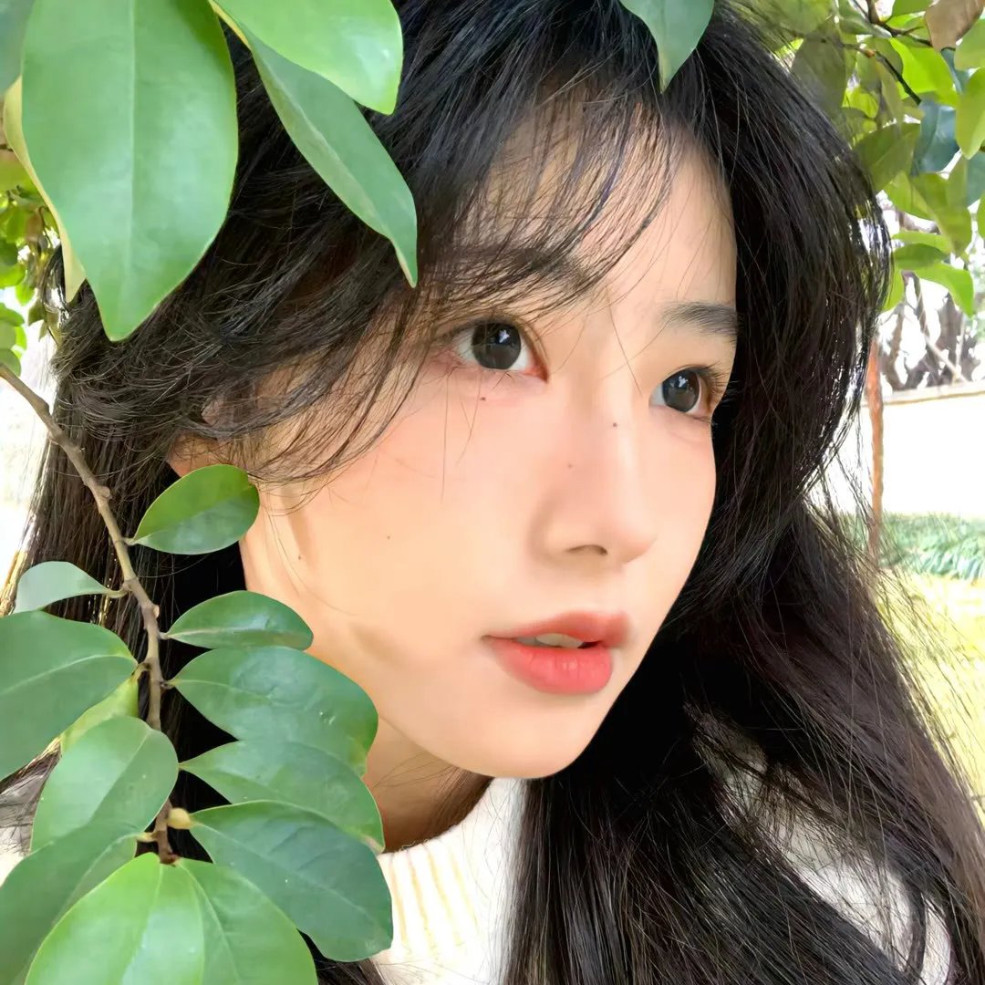 伟大圣心