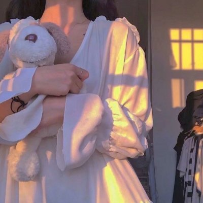 报告王爷，王妃是只猫22026